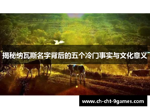 揭秘纳瓦斯名字背后的五个冷门事实与文化意义